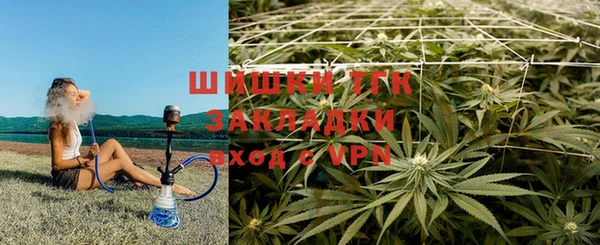 PSILOCYBIN Нефтегорск